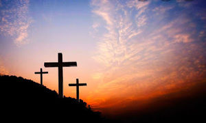 Meet your Posher, Peyton